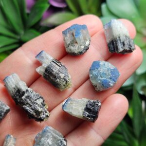 Blue Cap Tourmaline - Rare Tanzanian Tourmaline - Blue Tourmaline - Raw Tourmaline Crystal - Black Tourmaline - Tourmaline Crystal