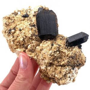 Black Tourmaline Cluster on Matrix | Raw Crystal Protection Stone