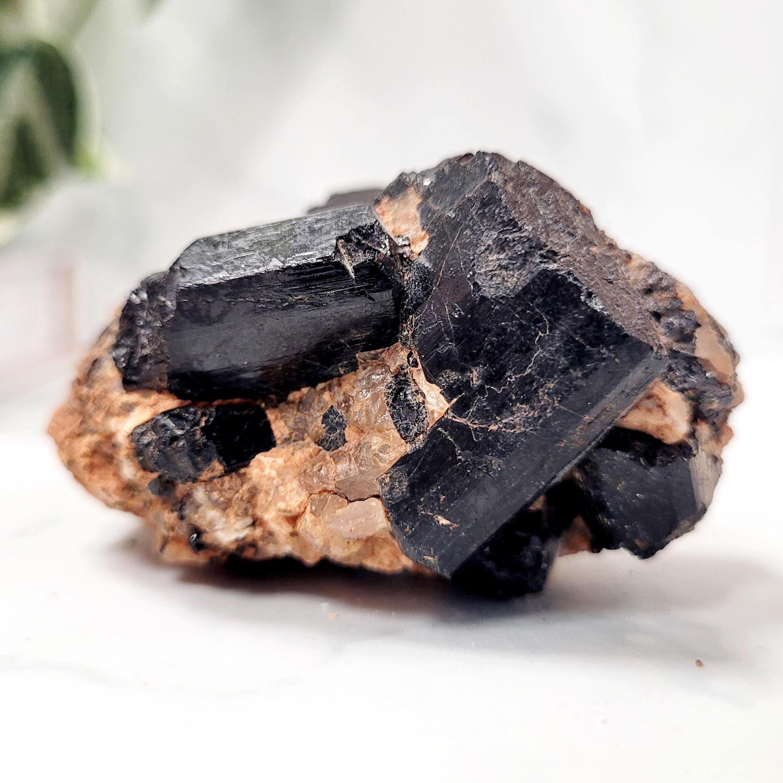 Black Tourmaline Crystal Specimen • Natural Schorl Ethically Sourced
