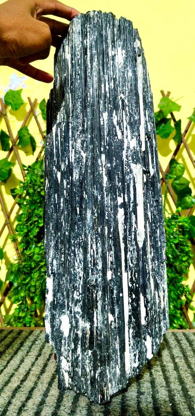 Massive 450mm Black Tourmaline Rough: Raw Crystal Log Free Foam Massive 450mm Black Tourmaline Rough: Raw Crystal Log Free Foam