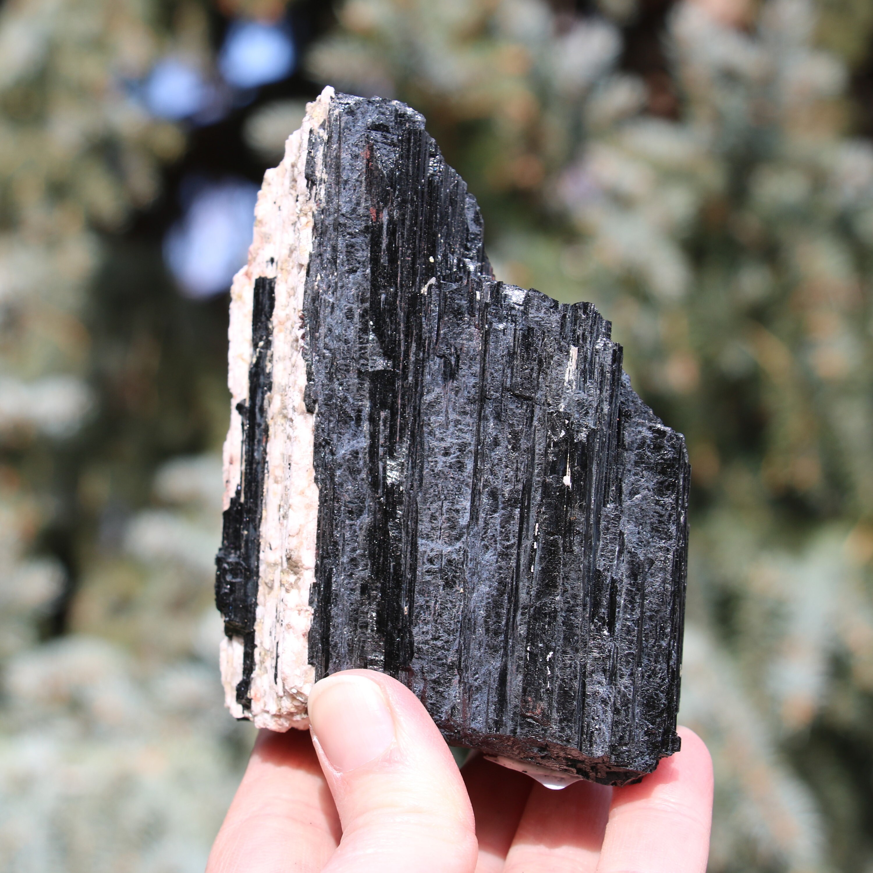 Black Tourmaline Raw Piece #f