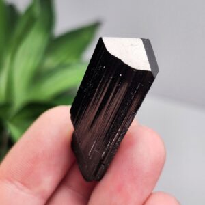 Terminated Black Tourmaline Crystal (1.25"+), Raw Tourmaline Stone Specimen
