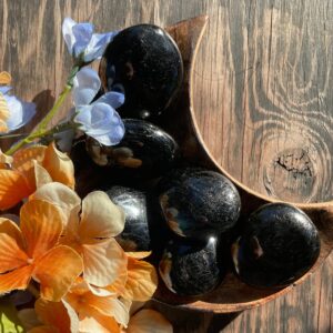 Black Tourmaline Palm Stone, Black Tourmaline, Qty. 1