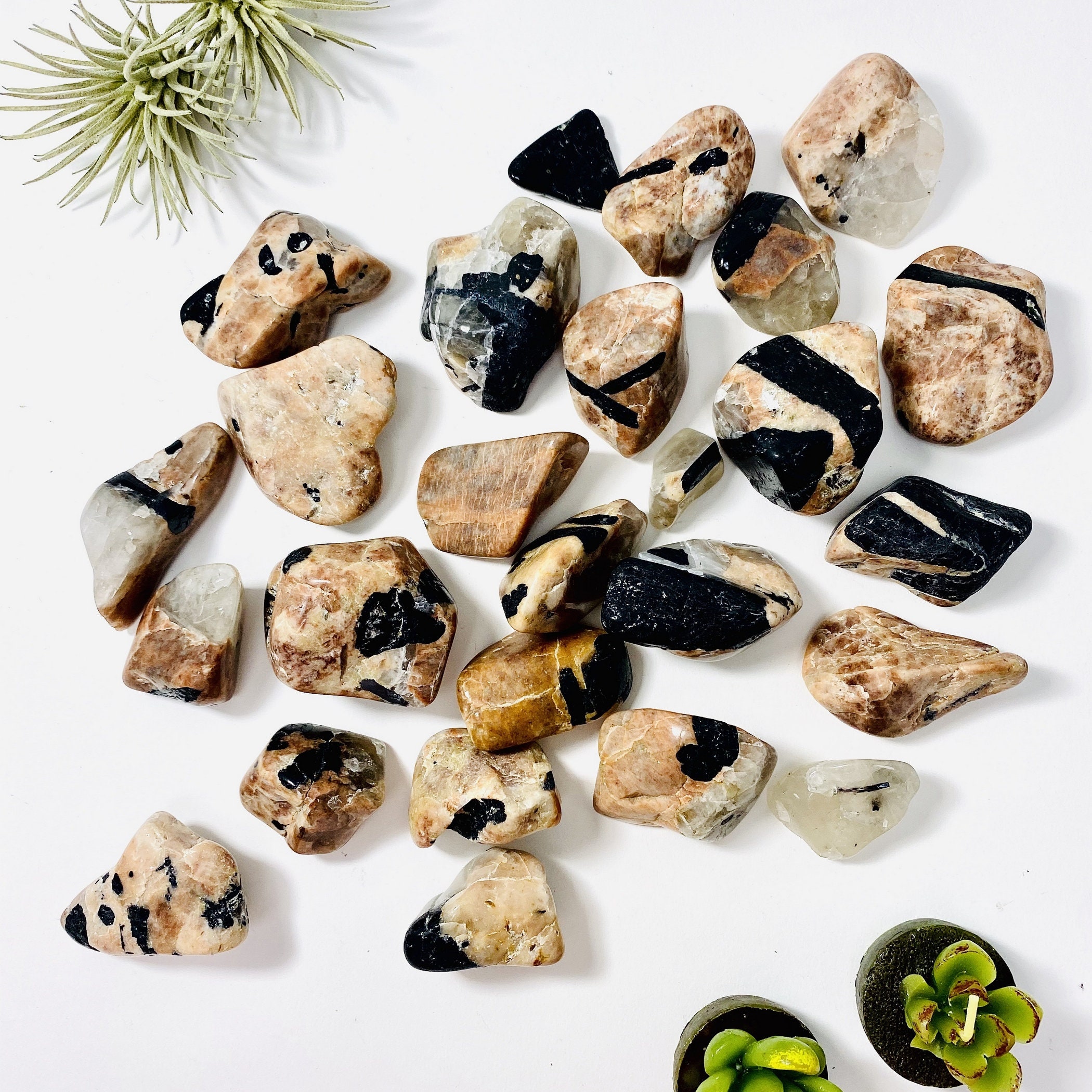 1/2 Lb Black Tourmaline On Matrix Tumbled Stones (ts-207)