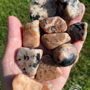 Black Tourmaline in Feldspar Tumbled Stone, One, Rare, Rock Hound