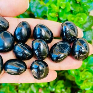 Black Tourmaline: Small Tumbled Gemstone (1)