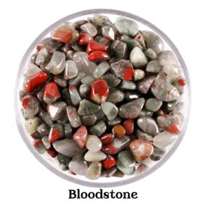 Bloodstone Chip Stones, Vitality And Protection, Ritual Spell Jar Tools