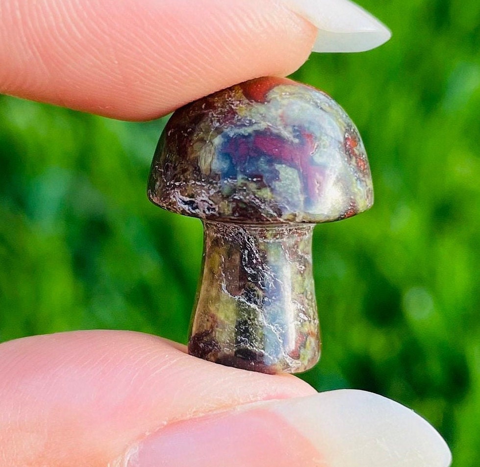 Dragon Bloodstone Mushroom: Tumbled Polished Crystal Gemstone (18-25mm)