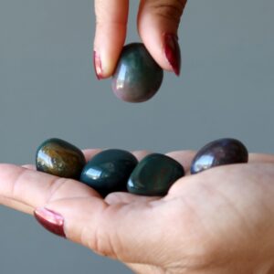 Bloodstone Tumbled Stone Drop Of Determination
