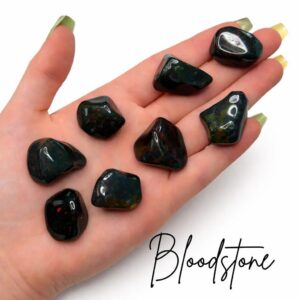 Bloodstone Tumbled Stone, Tumbled Bloodstone, Pocket Bloodstone, T-59
