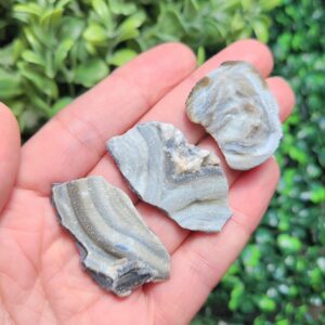 Zeusite Rose Specimen: Druzy Blue Chalcedony Crystal Zeusite Rose Specimen: Druzy Blue Chalcedony Crystal