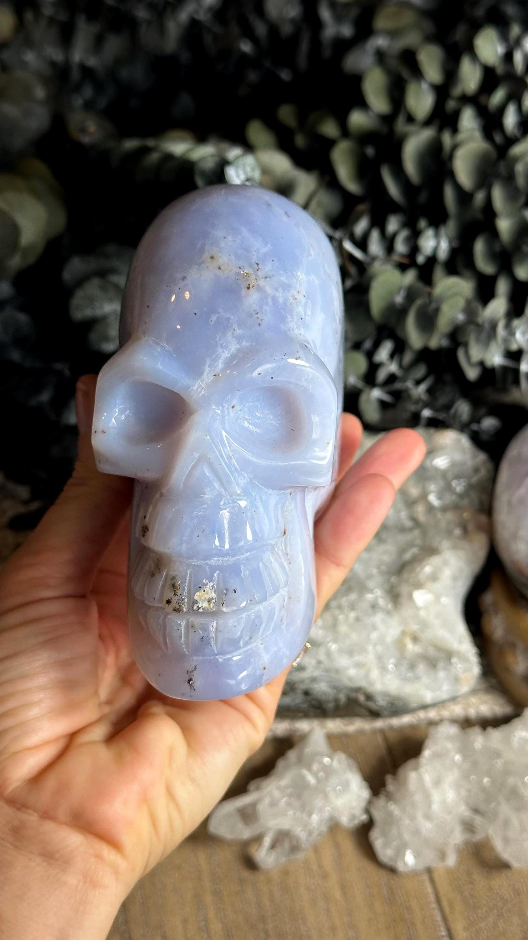 5” Turkish Blue Chalcedony Crystal Skull 5” Turkish Blue Chalcedony Crystal Skull