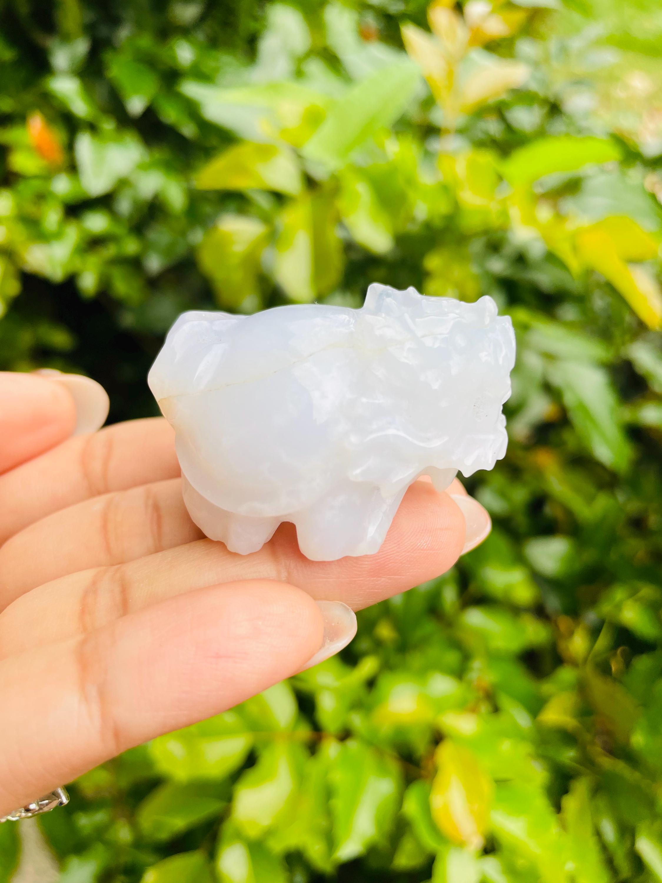 Blue Chalcedony Crystal Dragon Turtle: Carved Mythical Stone (48g, 45x25x35mm) Blue Chalcedony Crystal Dragon Turtle: Carved Mythical Stone (48g, 45x25x35mm)