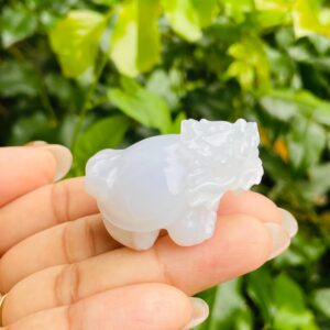 Blue Chalcedony Dragon Turtle Carving: Mythical Crystal Stone (32.8g, 42x31mm)