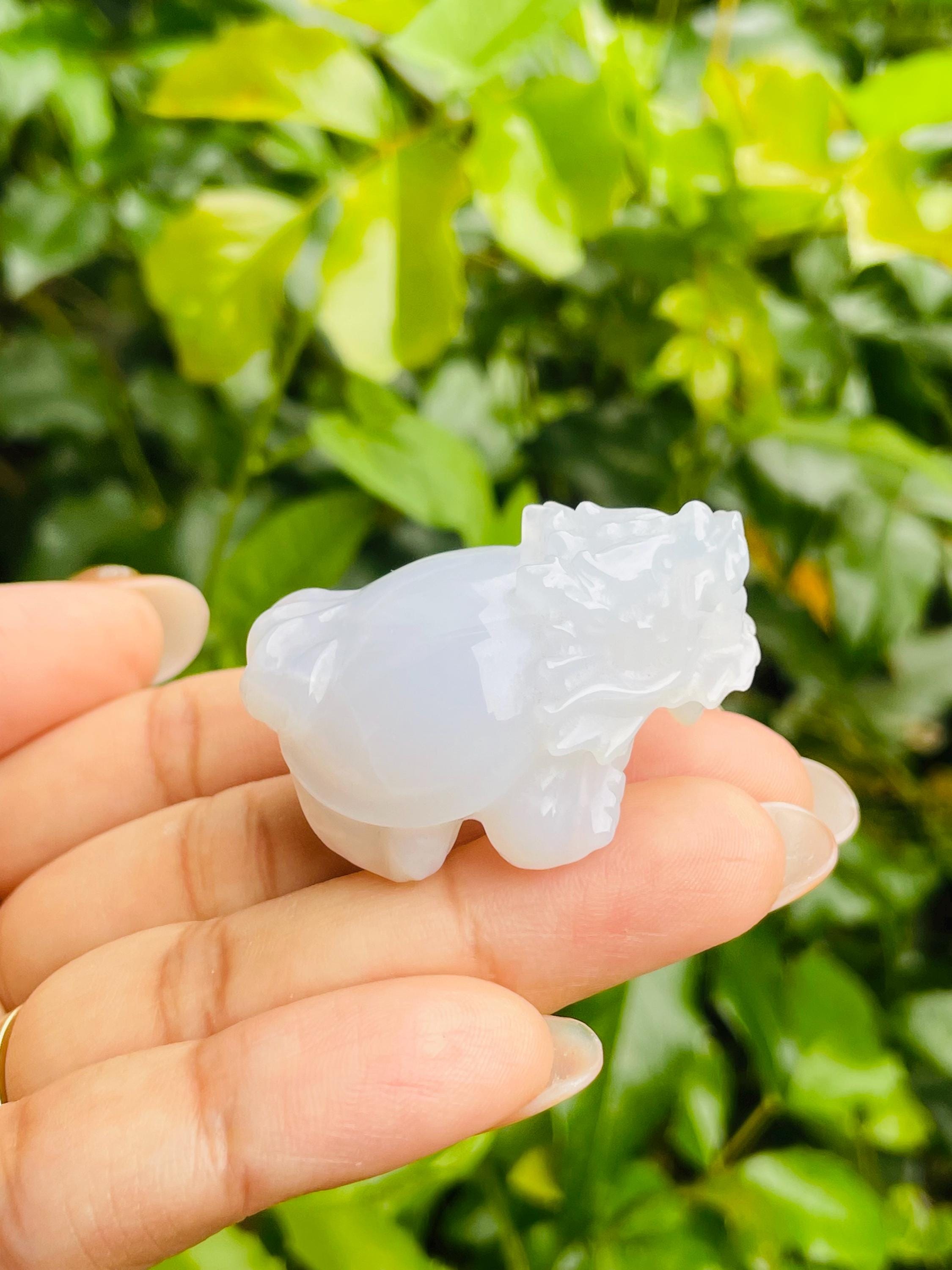 Blue Chalcedony Dragon Turtle Carving: Mythical Crystal Stone (32.8g, 42x31mm) Blue Chalcedony Dragon Turtle Carving: Mythical Crystal Stone (32.8g, 42x31mm)