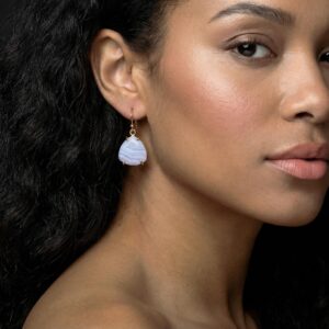 Blue Lace Agate Earrings • Trillion 14k Gold Dangle Earrings