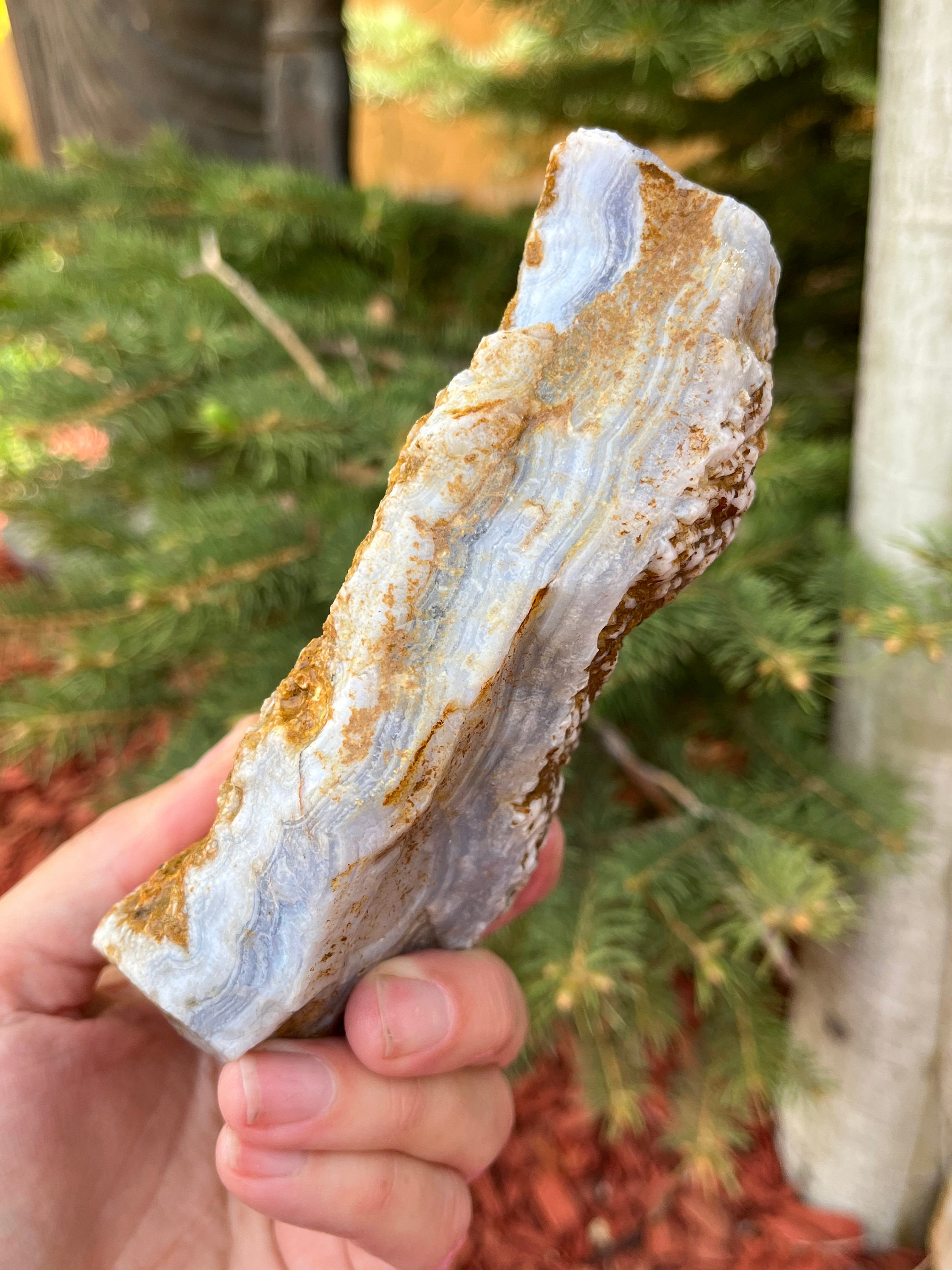 Blue Lace Agate Rough Natural Stone Not Polished For Cabbing Large Blue Lace Agate Rough Natural Stone Not Polished For Cabbing Large