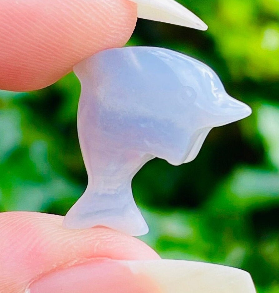 Blue Lace Agate Crystal Dolphin: Mini Carved Gemstone (drilled)