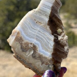 Blue Lace Agate Lapidary Slab natural stone not polished for cabbing