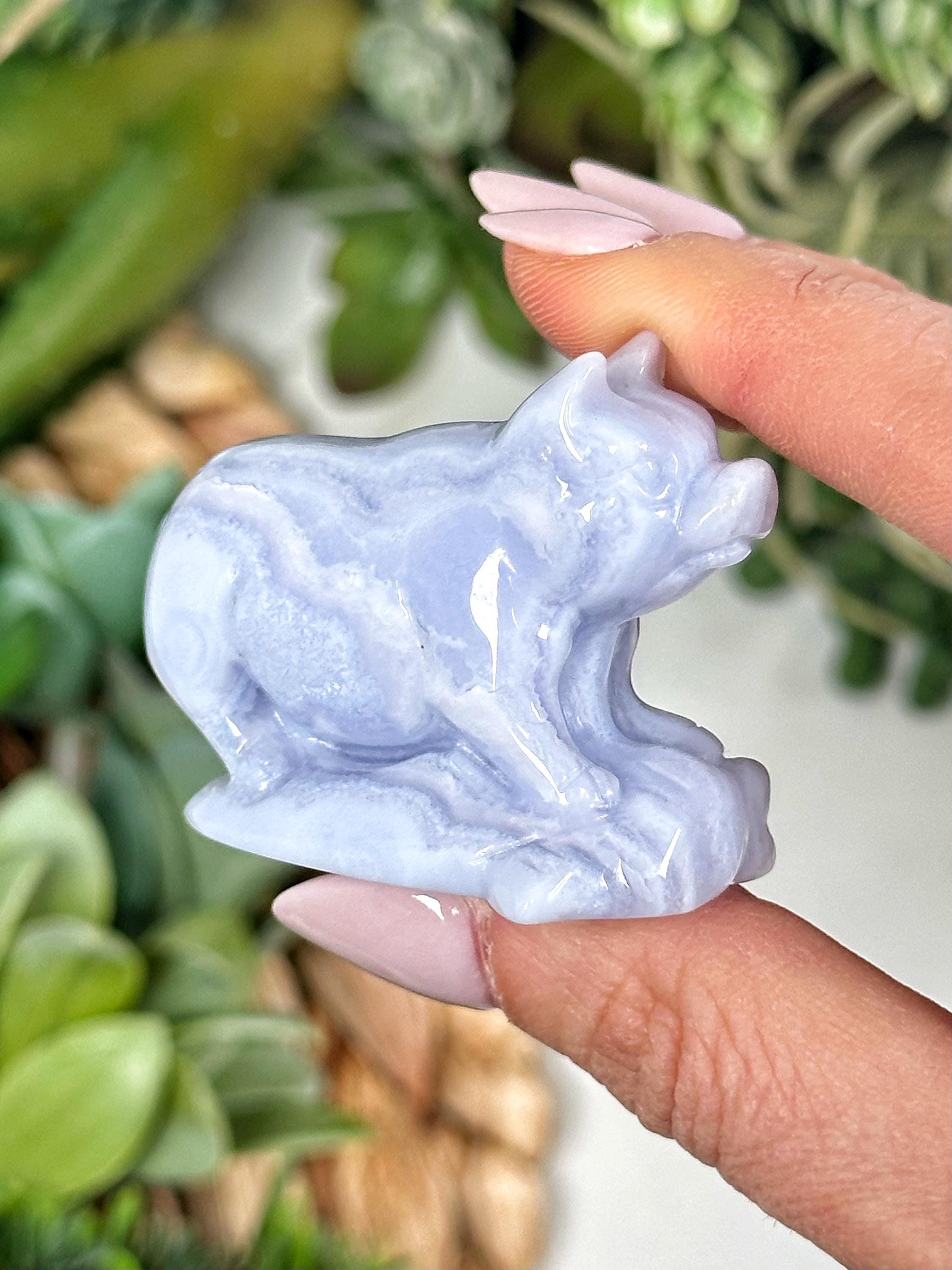 Blue Lace Agate Pig | 35g | - No. 972 (polished Crystal Carving, Throat Chakra, Peace)