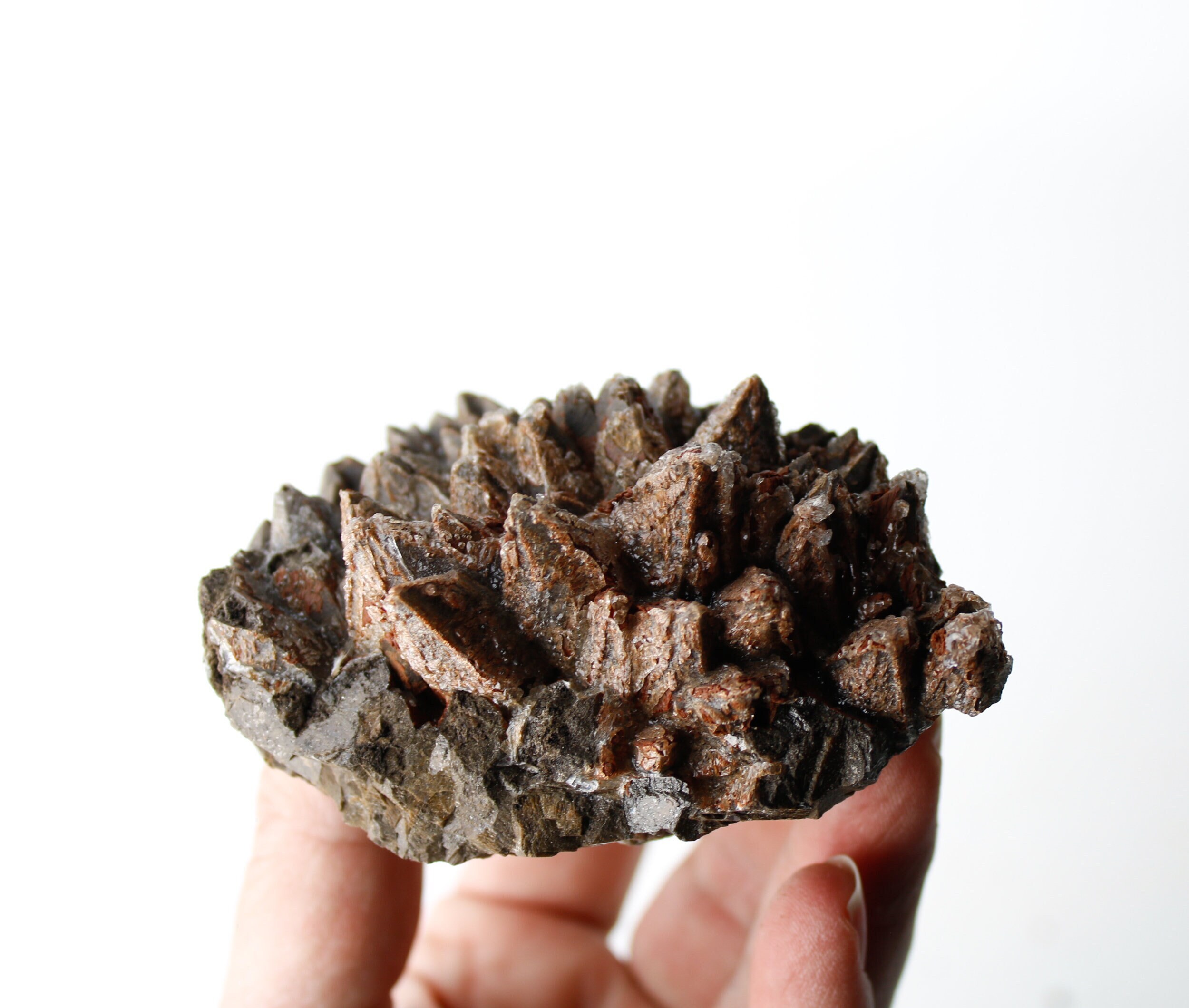 Chocolate Dogtooth Calcite Cluster