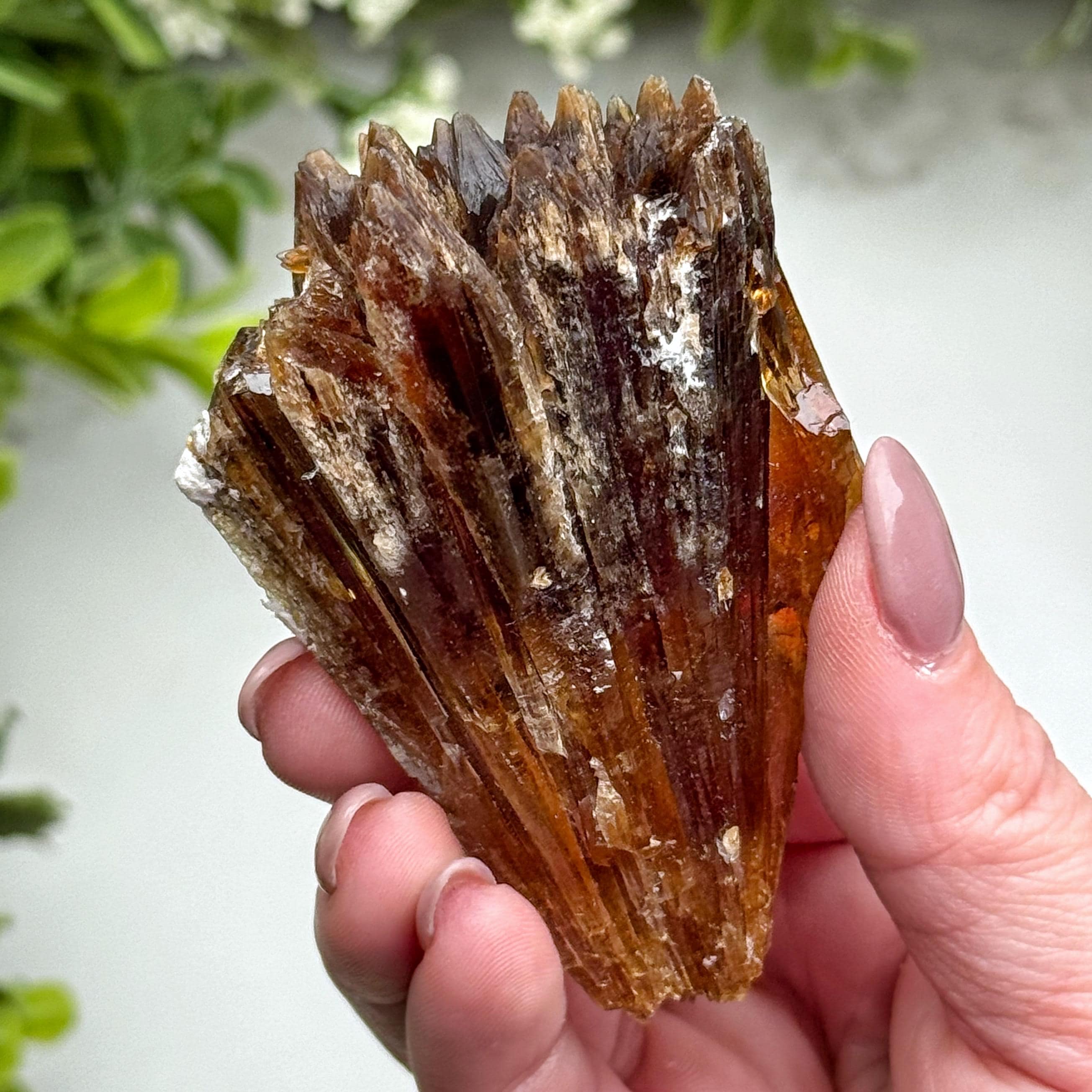 Root Beer Calcite | 82g | - #3 (raw Brown Crystal Specimen, Root Chakra, Healing Stone, Motivation)