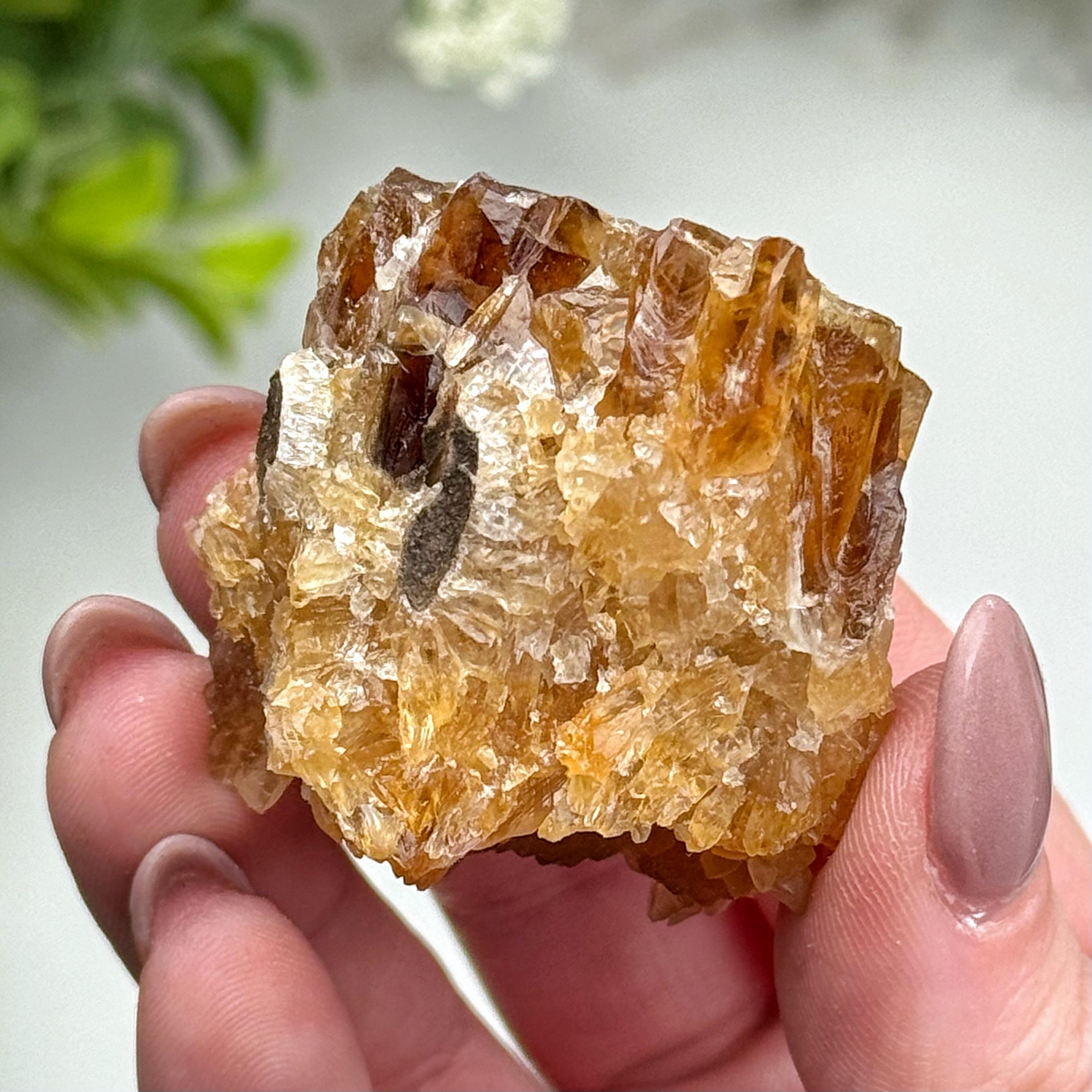 Root Beer Calcite | 46g | - #7 (raw Brown Crystal Specimen, Root Chakra, Healing Stone, Motivation)