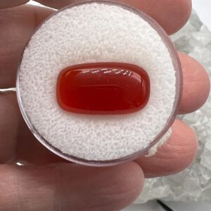 Carnelian Cabochon-11ct