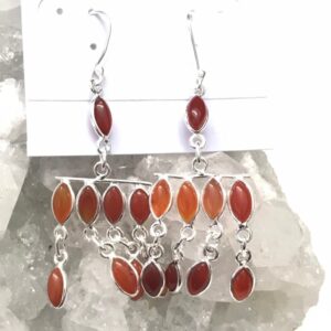 Abstract Carnelian Earrings
