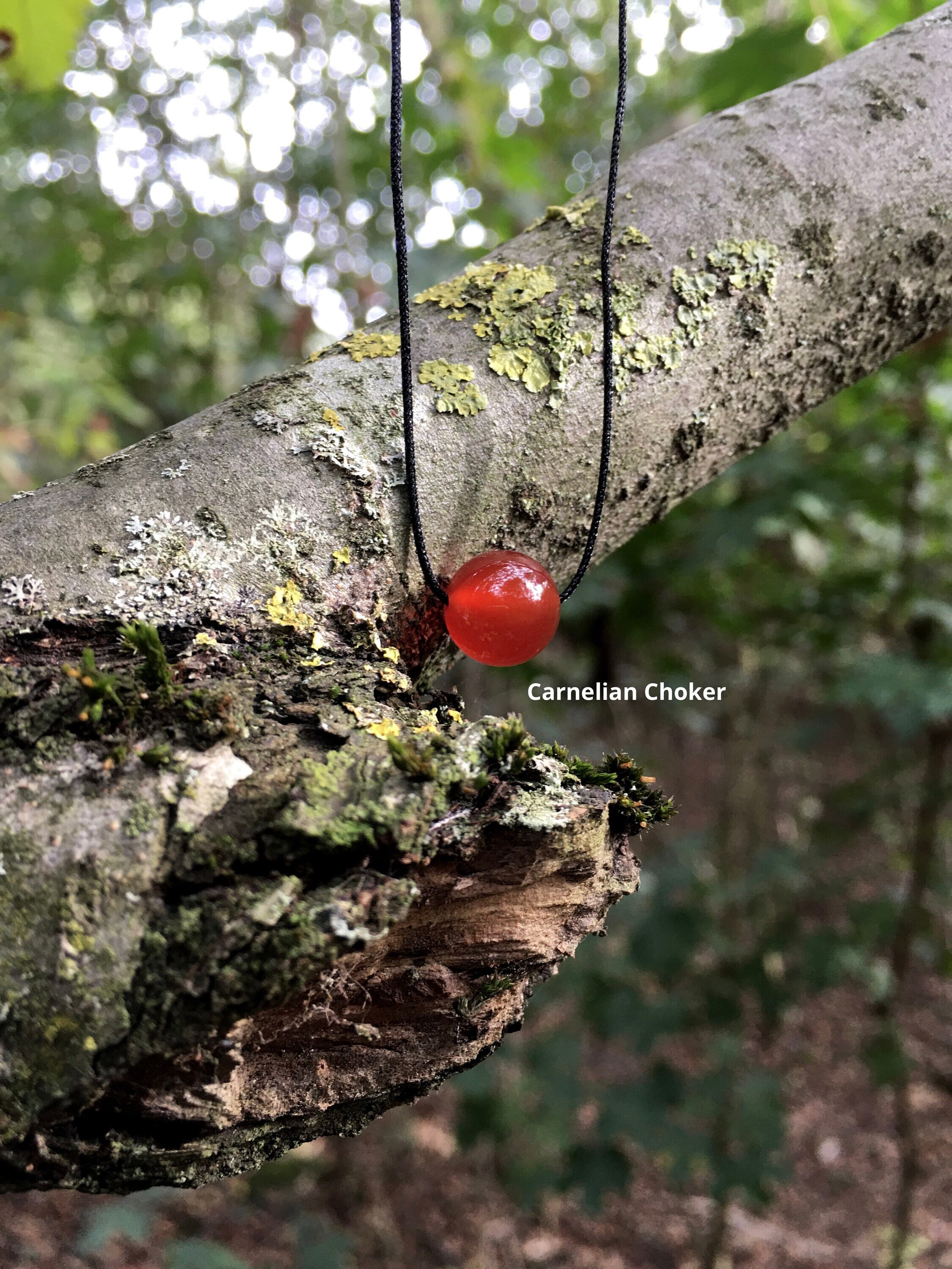 Minimalist Carnelian Choker Necklace: 10mm Bead, Waxed Cord