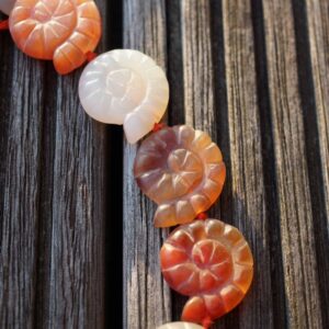 Carnelian spiral/ snail matte beads 20-22mm (ETB00301) warmth/happiness/peace/inner strength/vitality