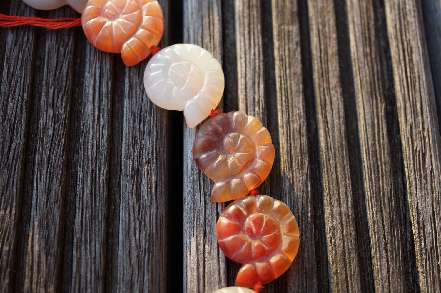 Carnelian Spiral/ Snail Matte Beads 20-22mm (etb00301) Warmth/happiness/peace/inner Strength/vitality
