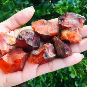 Raw Carnelian (1) Carnelian Crystal, Raw Crystals, Rough Carnelian Stone Gemstone Natural Mineral Raw Carnelian (1) Carnelian Crystal, Raw Crystals, Rough Carnelian Stone Gemstone Natural Mineral