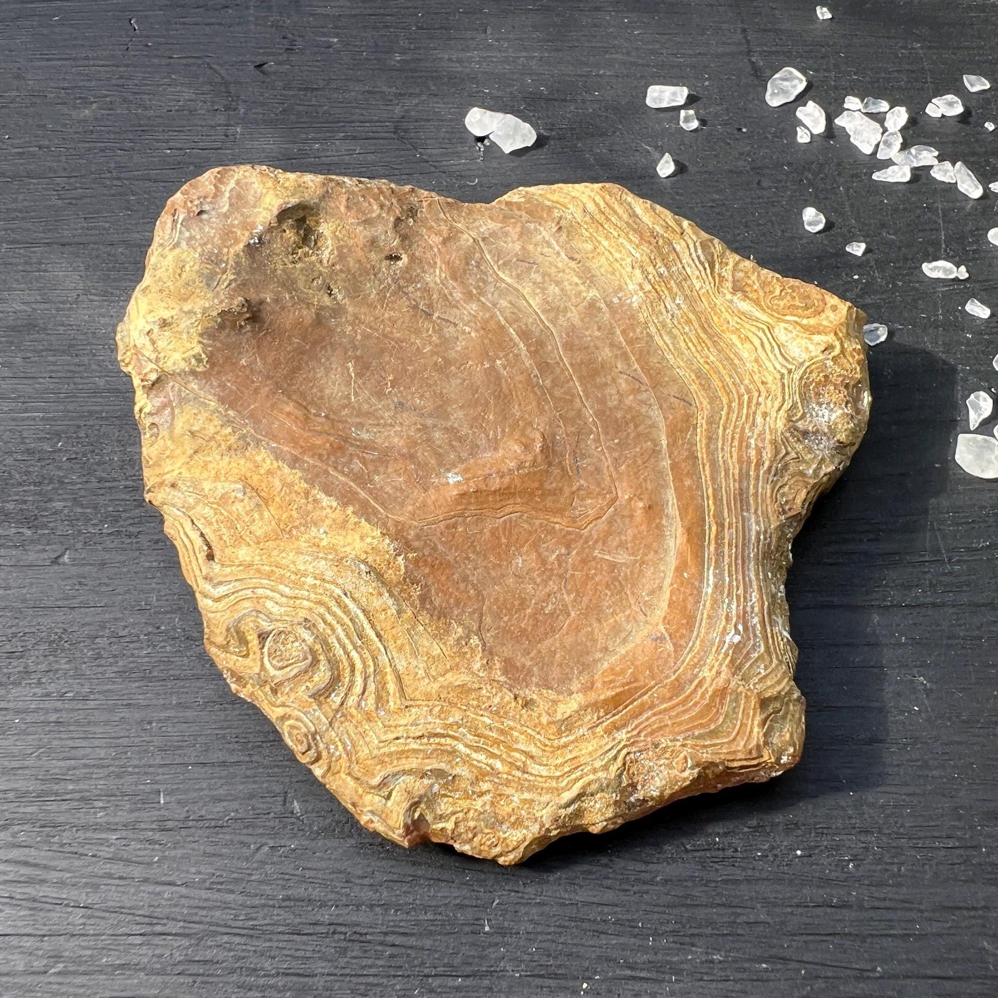Raw Carnelian Stone | Madagascar Layered Display Piece Raw Carnelian Stone | Madagascar Layered Display Piece