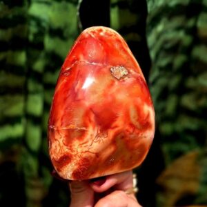 Carnelian Crystal Free Form - For Creative Energy, Inspiration, Motivation & Passion - Sacral Chakra Stone