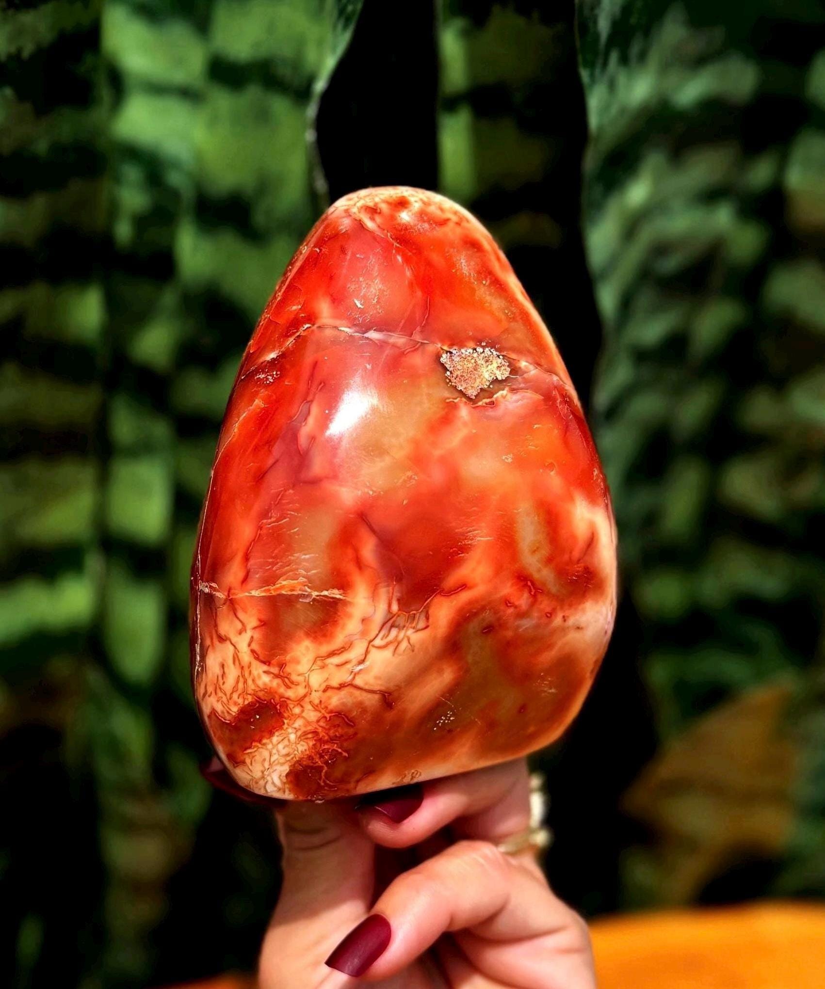 Carnelian Crystal Free Form - For Creative Energy, Inspiration, Motivation & Passion - Sacral Chakra Stone