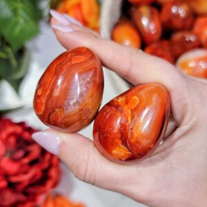 Carnelian Egg | S, L | - No. 836 (polished Red Crystal Carving, Sacral Chakra, Healing Stone, Creativity)
