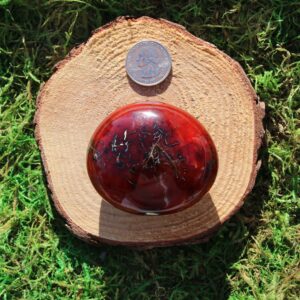 Carnelian Palm #K*