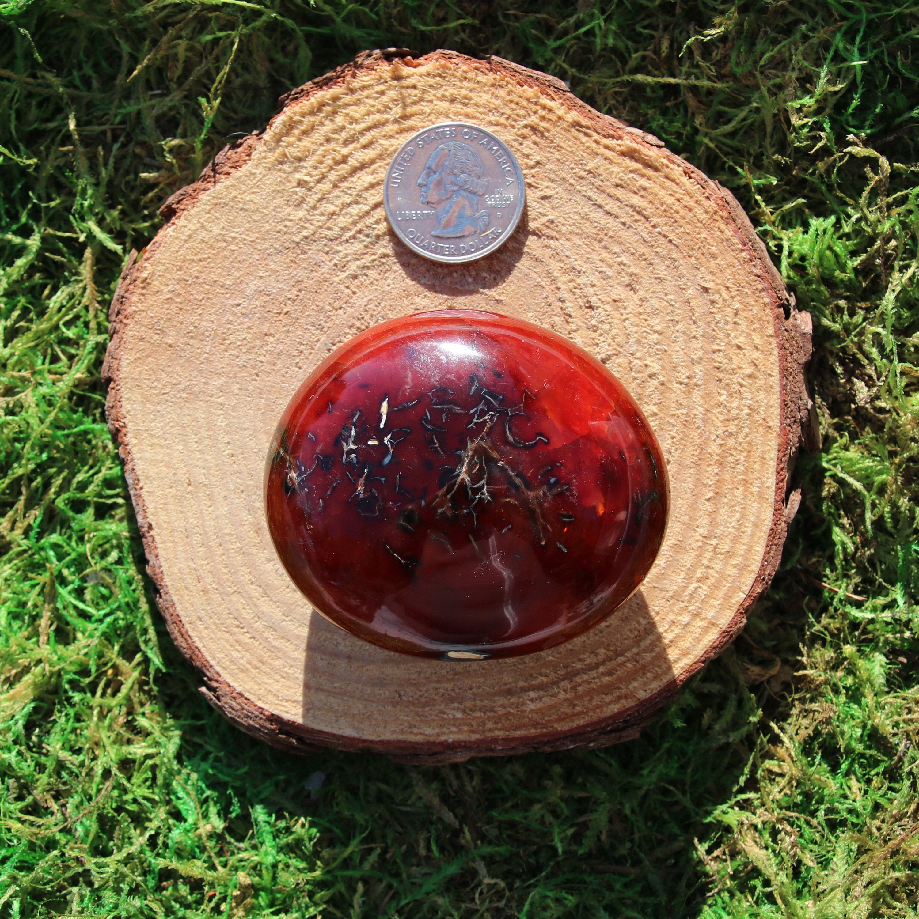 Carnelian Palm #k*