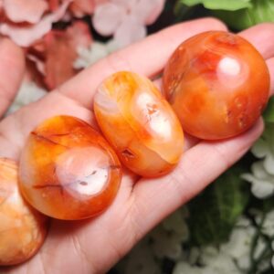 Carnelian Palm Stone - Carnelian Palm Stone - Natural Carnelian - Carnelian Tumble - Orange Carnelian - Carnelian Stone - Carnelian Gemstone