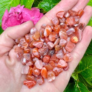 Carnelian Chips Mini Tumble 5-10mm Orange Gems Resin Craft Witchy Spell Potion Bottle Crystal Stones Tumbled Chips Undrilled Rock Uk