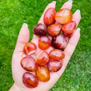 Tumbled Carnelian Crystal: Red Orange Gemstone (25-40 Mm)