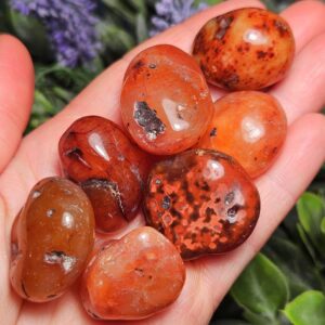 Tumbled Carnelian Crystal - Carnelian Tumble - Carnelian Stone - Red Carnelian - Orange Carnelian - Natural Carnelian - Carnelian Crystal