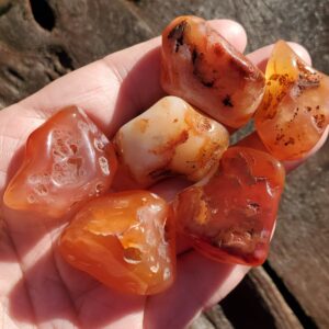 Tumbled Carnelian Crystals, Freeform Carnelian Stones for Grounding and Stability, Sacral Chakra Crystal, Stone of Courage and Passion