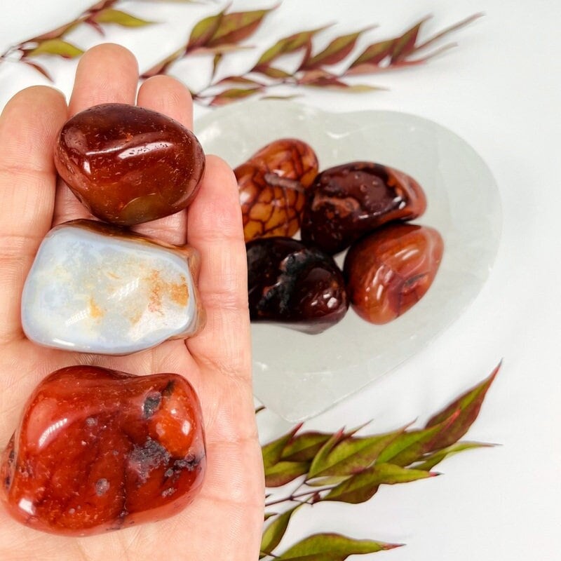 Large Carnelian Tumbled Stone - Red Polished Beauties! - Choose Your Qty 1,3 5 Pieces (ts-83)