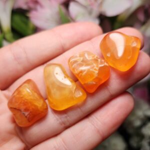 Malawi Carnelian Crystal: Tumbled Orange Carnelian