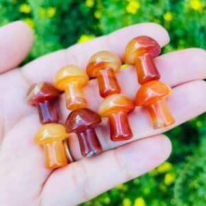 Carnelian Mushroom: Tumbled Polished Crystal Stone (10-20 Mm)