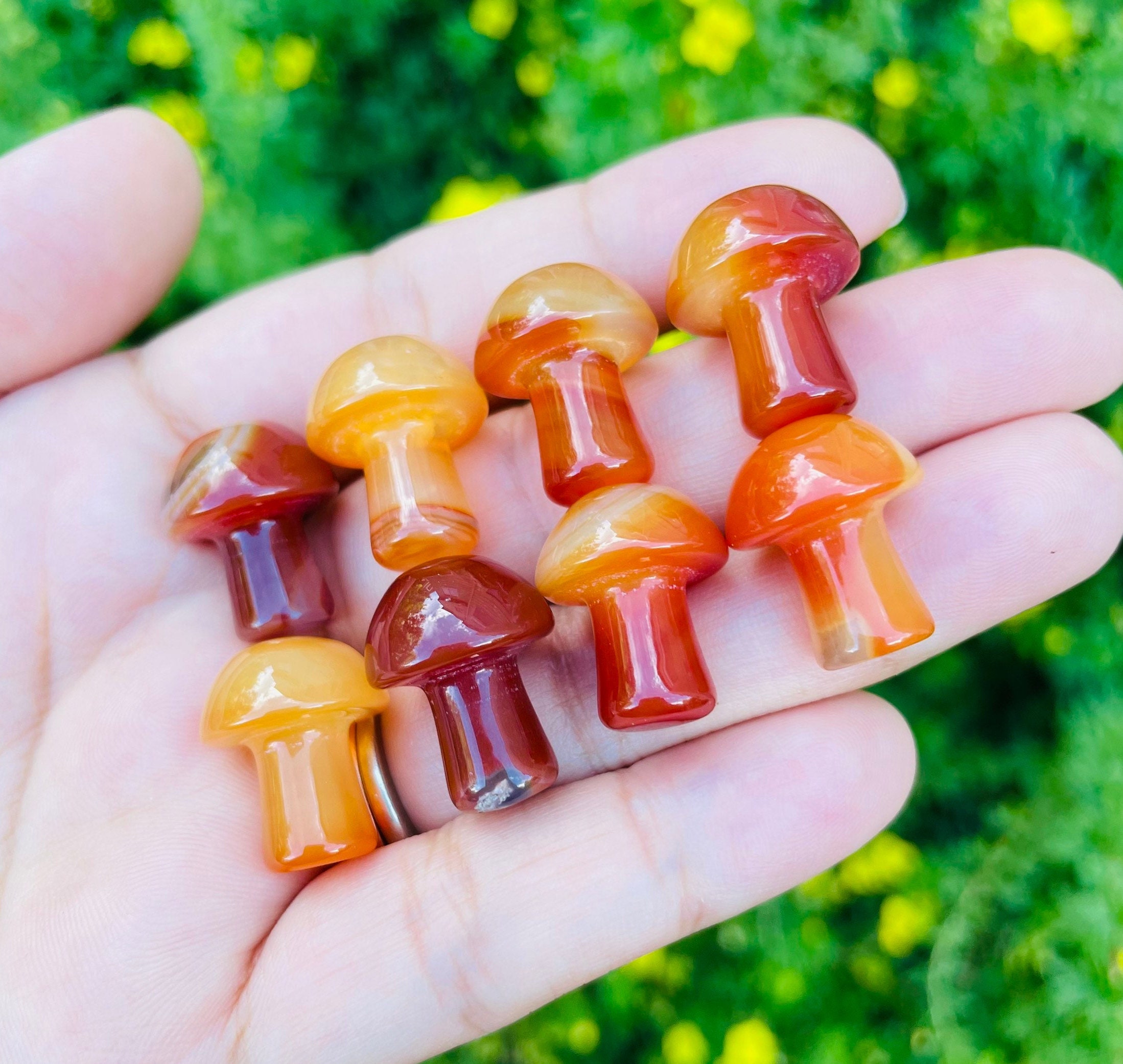 Carnelian Mushroom: Tumbled Polished Crystal Stone (10-20 Mm)