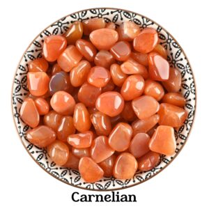 Set of 10 Carnelian Tumbled Stones, Bulk Crystal Gift, Natural Red Orange Healing Gemstones