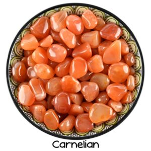 Set of 10 Carnelian Tumbled Stones, Polished Orange Crystals, Altar Ritual Decor, Bulk Gem